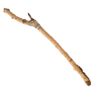 Stick